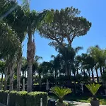 Oasis 3*