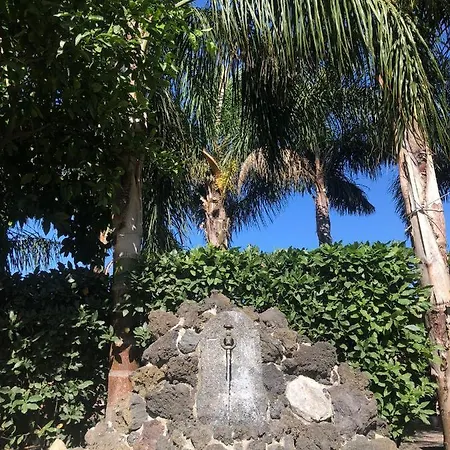 Oasis 3*
