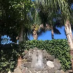Oasis 3*